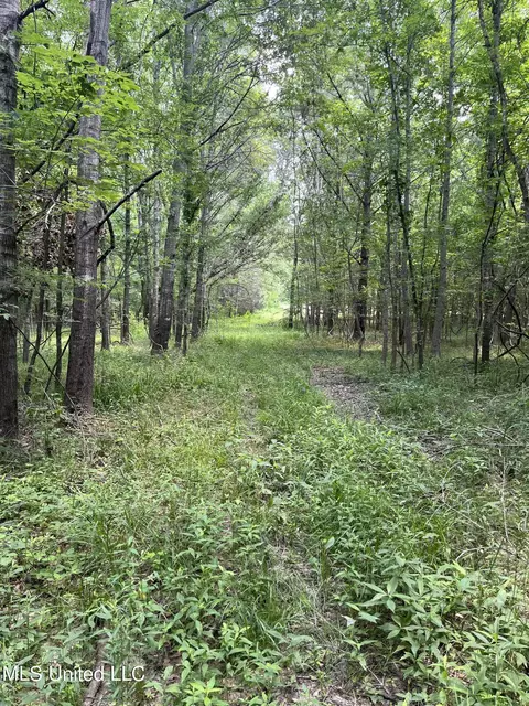 0 Robinson Springs Rd, Flora, MS 39071 photo 15