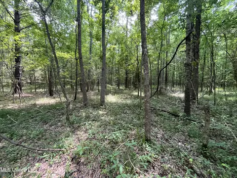 0 Robinson Springs Rd, Flora, MS 39071 photo 22