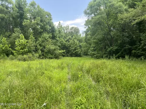 0 Robinson Springs Rd, Flora, MS 39071 photo 7