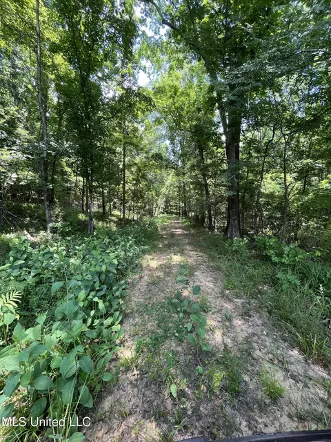 0 Robinson Springs Rd, Flora, MS 39071 photo 9