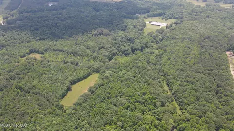 0 Robinson Springs Rd, Flora, MS 39071 photo 38