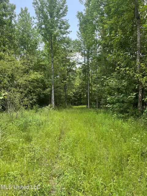 0 Robinson Springs Rd, Flora, MS 39071 photo 10