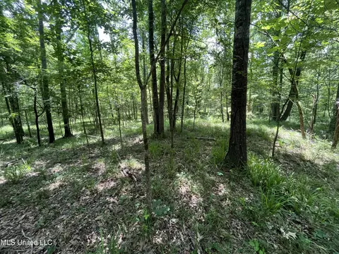 0 Robinson Springs Rd, Flora, MS 39071 photo 16