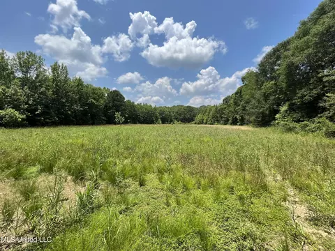 0 Robinson Springs Rd, Flora, MS 39071 photo 14