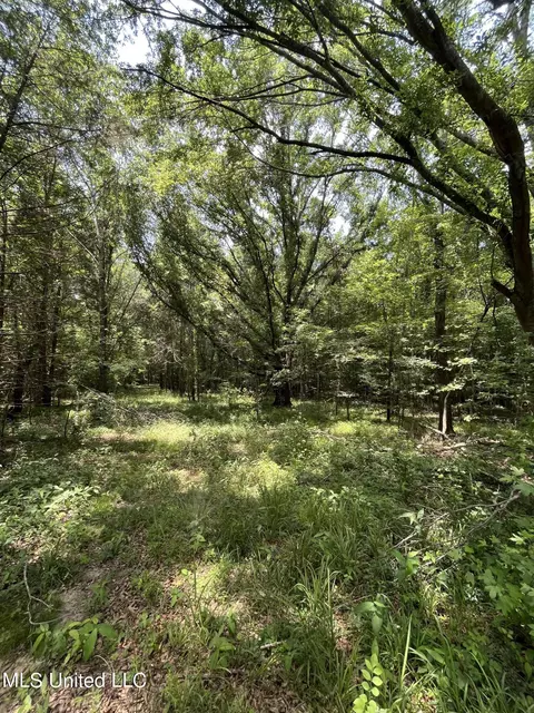 0 Robinson Springs Rd, Flora, MS 39071 photo 19