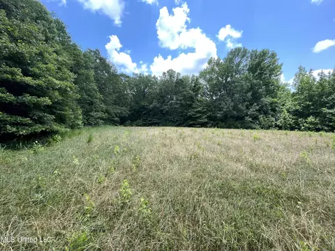 0 Robinson Springs Rd, Flora, MS 39071 photo 20