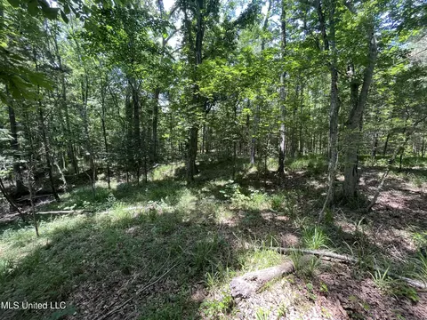 0 Robinson Springs Rd, Flora, MS 39071 photo 17