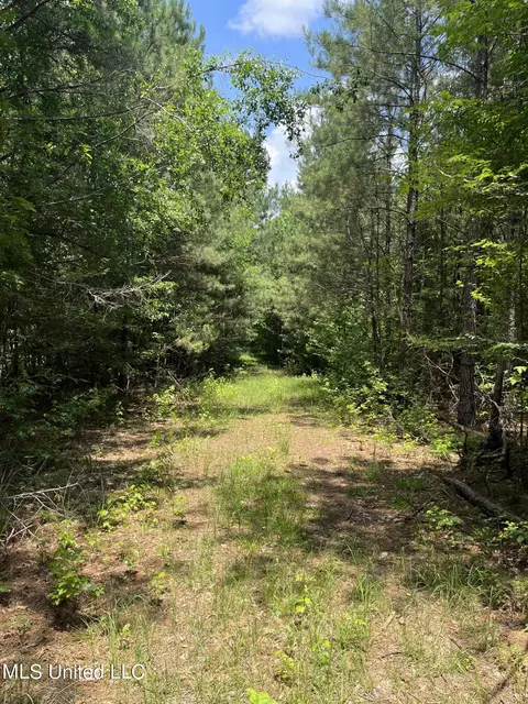 0 Robinson Springs Rd, Flora, MS 39071 photo 13