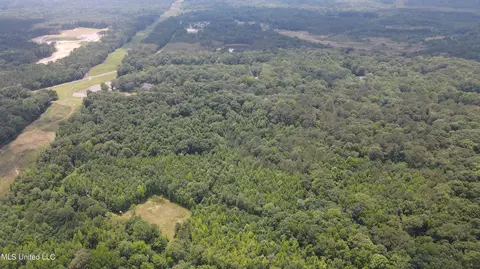 0 Robinson Springs Rd, Flora, MS 39071 photo 32