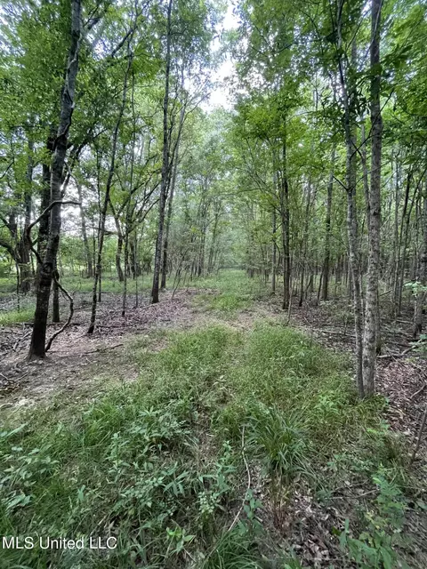 0 Robinson Springs Rd, Flora, MS 39071 photo 18