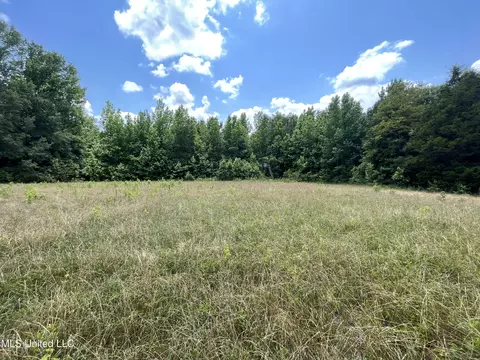 0 Robinson Springs Rd, Flora, MS 39071 photo 23