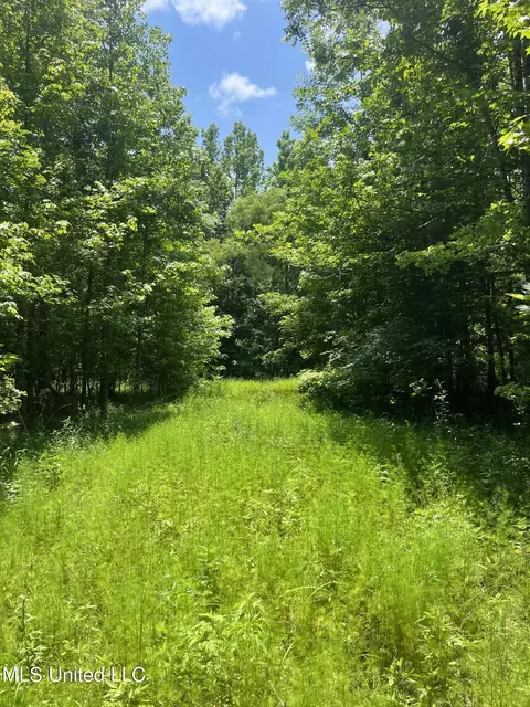 0 Robinson Springs Rd, Flora, MS 39071 photo 11
