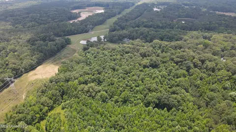 0 Robinson Springs Rd, Flora, MS 39071 photo 24