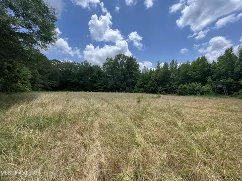 0 Robinson Springs Rd, Flora, MS 39071 photo 21