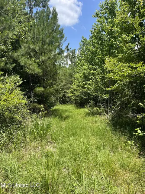 0 Robinson Springs Rd, Flora, MS 39071 photo 12