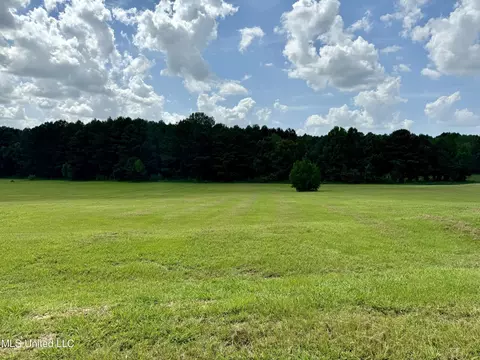 527 Clark Stables Rd, Brandon, MS 39047