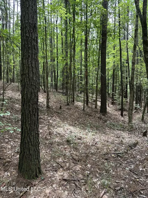 Indian Mound Ridge, Brandon, MS 39042 photo 3