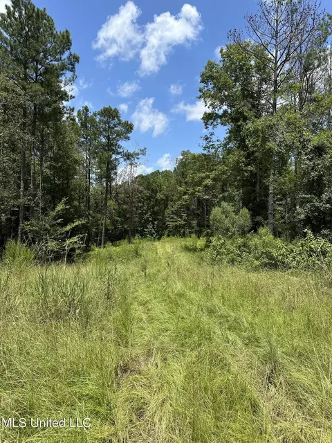Indian Mound Ridge, Brandon, MS 39042 photo 8