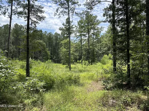 Indian Mound Ridge, Brandon, MS 39042 photo 6