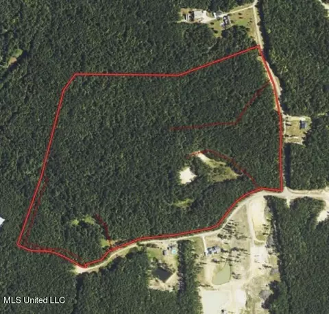Indian Mound Ridge, Brandon, MS 39042 photo 13