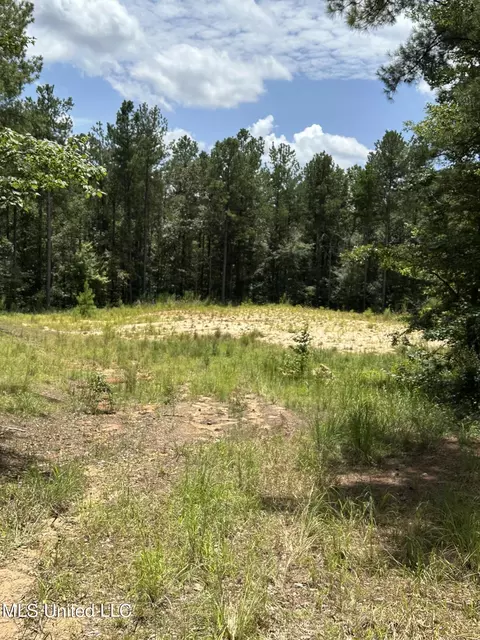 Indian Mound Ridge, Brandon, MS 39042 photo 5