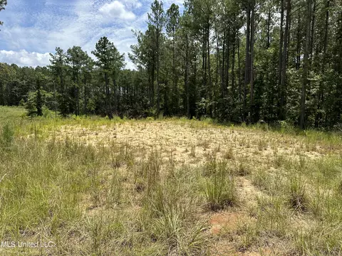 Indian Mound Ridge, Brandon, MS 39042 photo 7