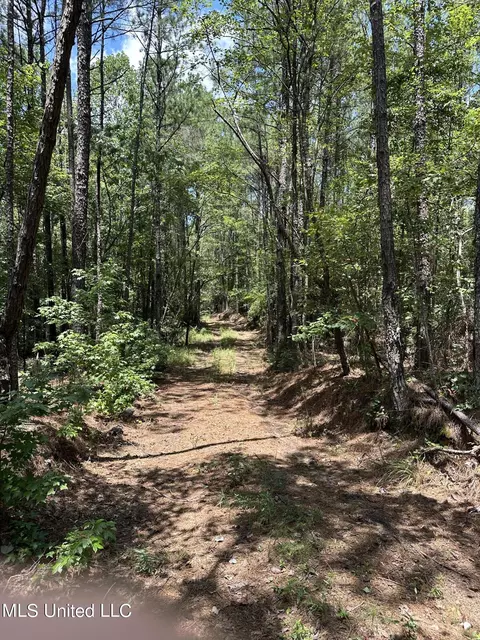 Indian Mound Ridge, Brandon, MS 39042 photo 9