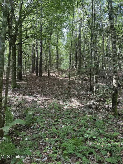 Indian Mound Ridge, Brandon, MS 39042 photo 12