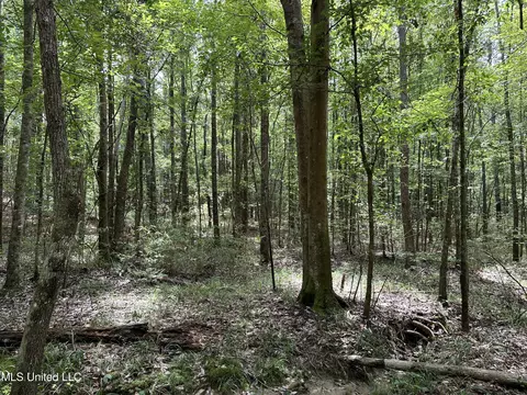 Indian Mound Ridge, Brandon, MS 39042 photo 2