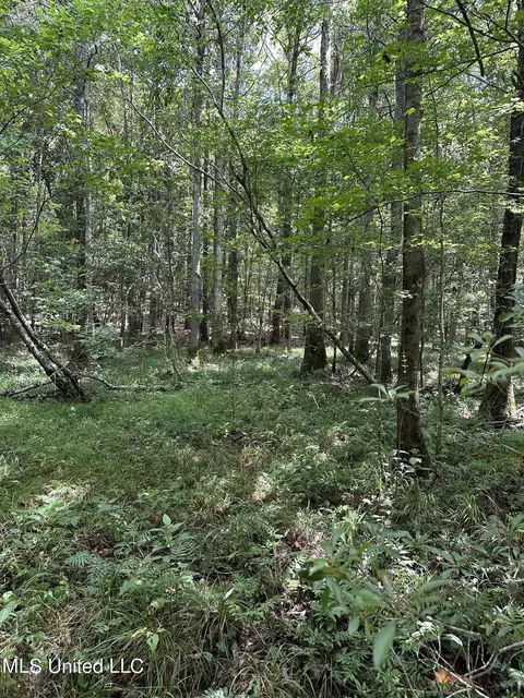 Indian Mound Ridge, Brandon, MS 39042 photo 11