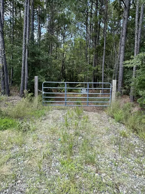 Indian Mound Ridge, Brandon, MS 39042 photo 4