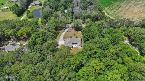 View/Area - 152 Three Prong Rd, Brandon, MS 39047 photo 11 of 15