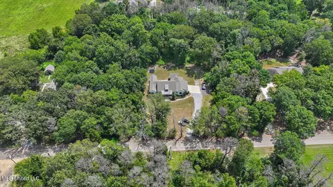 View/Area - 152 Three Prong Rd, Brandon, MS 39047 photo 4 of 15