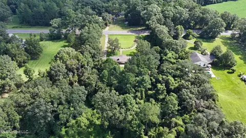 View/Area - 11247 Hwy 613, Lucedale, MS 39452 photo 1 of 1