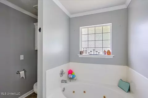 Bath - 539 Eaglewood Dr, Florence, MS 39073 photo 2 of 3