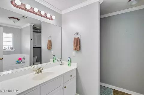 Bath - 539 Eaglewood Dr, Florence, MS 39073 photo 1 of 3