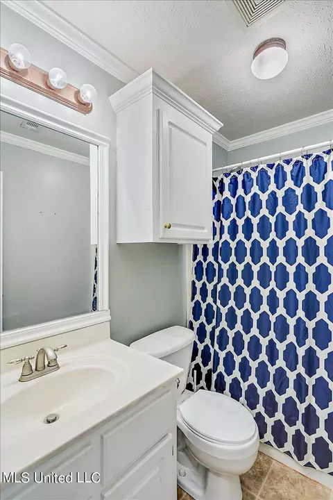 Bath - 539 Eaglewood Dr, Florence, MS 39073 photo 3 of 3