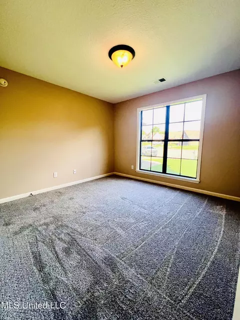216 Shady Lane Cv W, Hernando, MS 38632 photo 15