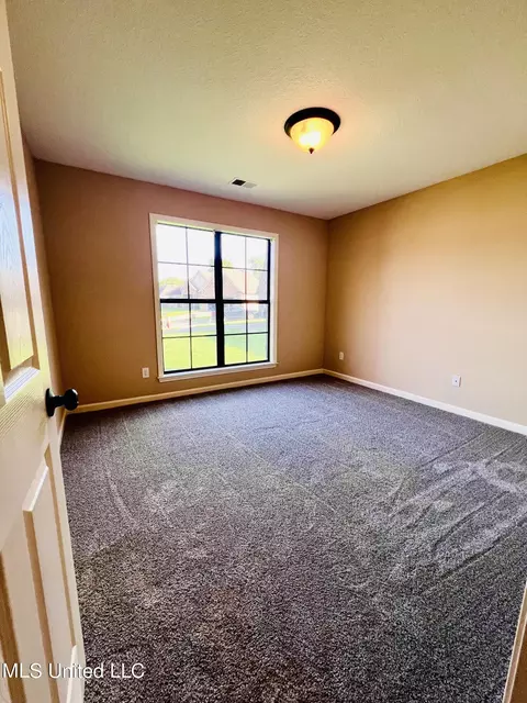 216 Shady Lane Cv W, Hernando, MS 38632 photo 17