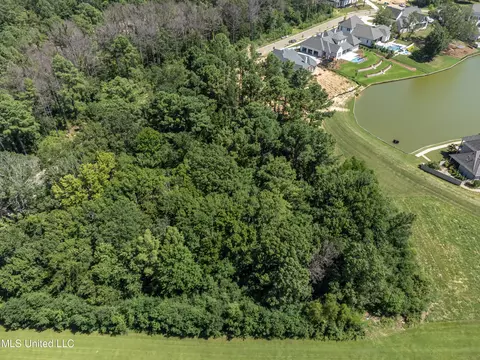 Stone Lake Drive, Madison, MS 39110 photo 4