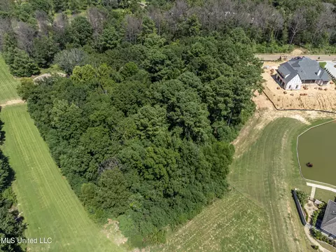 Stone Lake Drive, Madison, MS 39110 photo 6