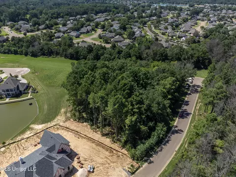 Stone Lake Drive, Madison, MS 39110 photo 14