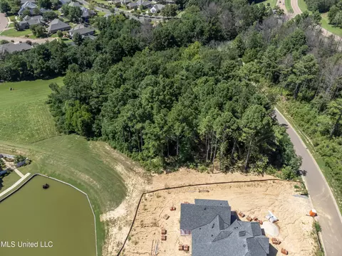 Stone Lake Drive, Madison, MS 39110 photo 24