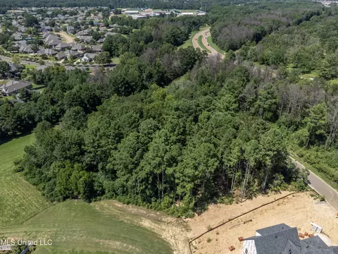 Stone Lake Drive, Madison, MS 39110 photo 11