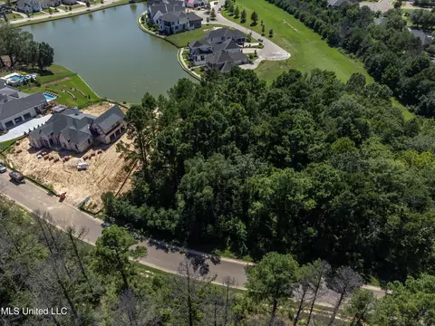Stone Lake Drive, Madison, MS 39110 photo 19