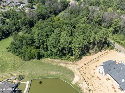 Stone Lake Drive, Madison, MS 39110 photo 25