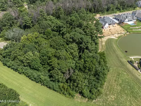 Stone Lake Drive, Madison, MS 39110 photo 5