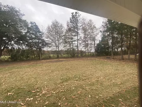 344 Lake Harbor Rd, Brandon, MS 39047 photo 16