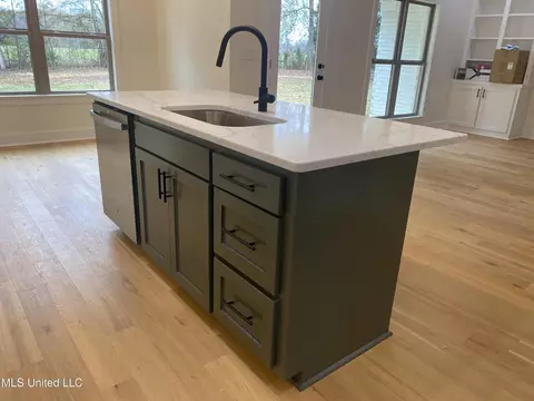 344 Lake Harbor Rd, Brandon, MS 39047 photo 4