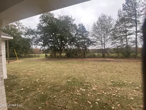 344 Lake Harbor Rd, Brandon, MS 39047 photo 17